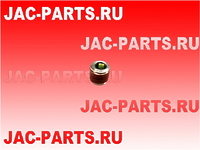 Заглушка блока цилиндров HFC4DE1-1D JAC N56 1002103GA