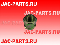 Гайка стремянки JAC N90 N120 2901038G1010