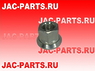 Гайка колесная JAC N75 N120 3104054E870