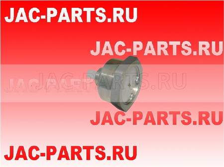 Клапан сброса конденсата JAC N75 N80 N90 N120 N200 N350 3513055LE052